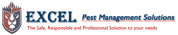 EPM - Excel Pest Management Scarborough, offering pest control services in Whitby, Bridlington, Ryedale, Pickering, Malton, Helmsley, Yorkshire and Humberside