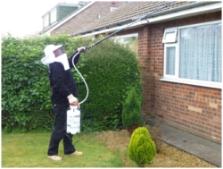 Excel Pest Management for residential pest control
