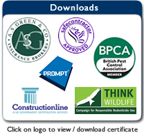 Pest control certificates