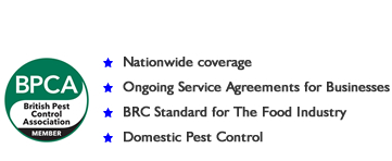 Pest Control Scarborough, Whitby, Malton, Pickering, Bridlington, Helmsley