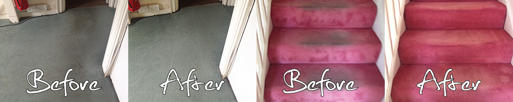 carpetcleaning2
