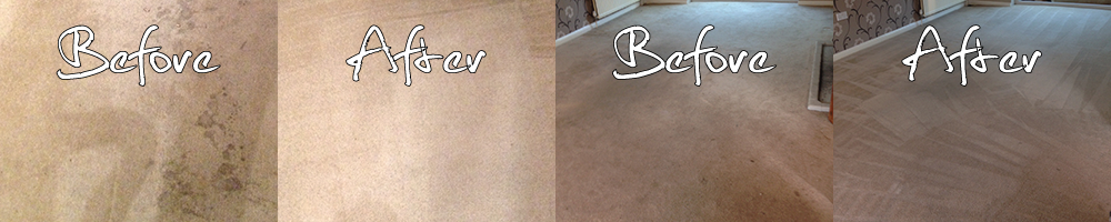 carpetcleaning3