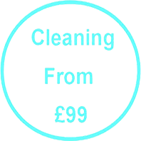 Opening - Carpet Cleaning