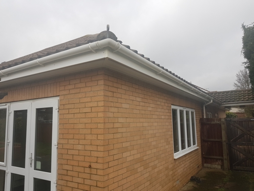 Window Cleaning Services